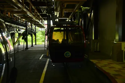 DSC_3675 (Large).JPG